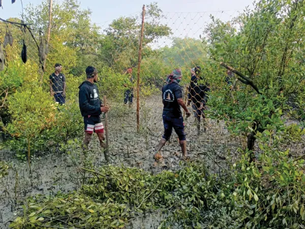 দু&rsquo;দিনের আতঙ্ক থেকে মুক্তি পেল মৈপীঠ, গভীর জঙ্গলে ফিরল বাঘ