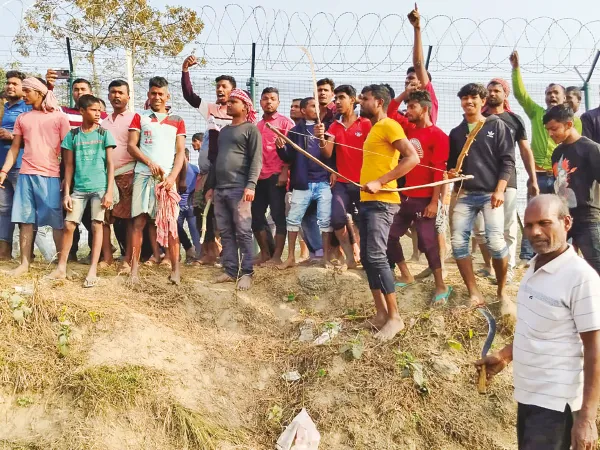 ফসল বাঁচাতে হাতে অস্ত্র শুকদেবপুরের কৃষকদের