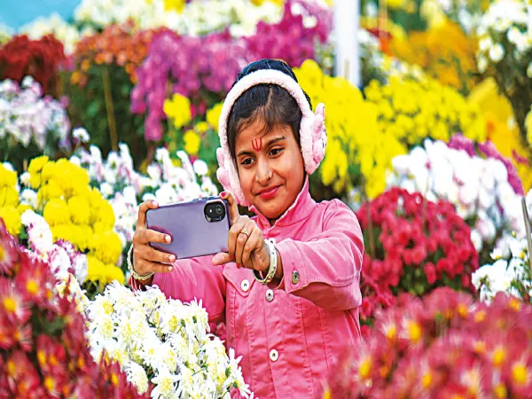 জেলায় চলছে আরও ১০টি বেআইনি পাম্প