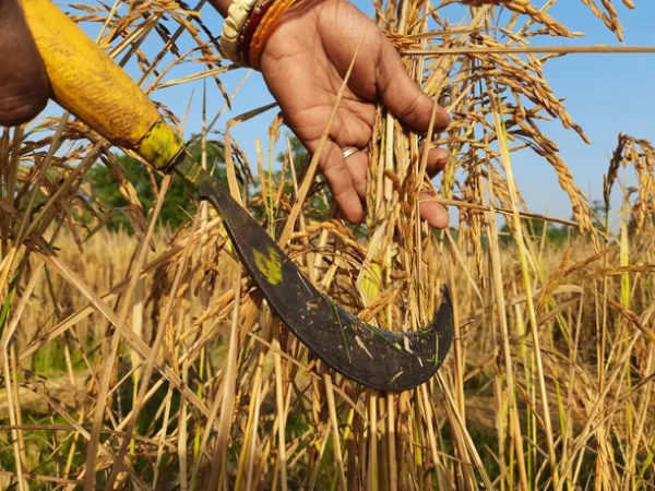 &lsquo;দুয়ারে সরকার&rsquo;-এ এবার কৃষি যন্ত্রাংশ পেতে আবেদনও গ্রাহ্য