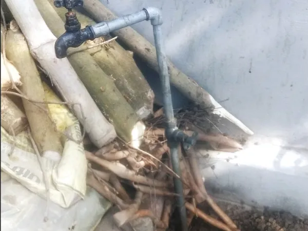 হরিশ্চন্দ্রপুরে সরবরাহ শুরু হলেও ট্যাপে জল না আসার অভিযোগ&nbsp;
&nbsp;