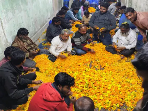জামিনে মুক্ত দেগঙ্গার তৃণমূল নেতা বিদেশ, বাজি ফাটিয়ে উচ্ছ্বাস কর্মীদের