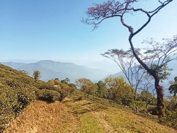 দার্জিলিং নামের নেপথ্যে