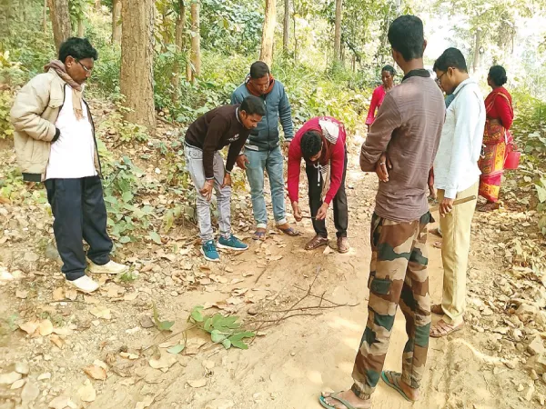 এবার বারিকুলে মিলল রয়্যাল বেঙ্গলের পায়ের ছাপ, আতঙ্ক