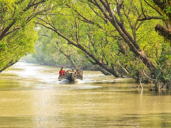 বসিরহাট ও সুন্দরবন নতুন জেলার প্রস্তাব, পরিষেবা আরও মসৃণ হওয়ার আশা