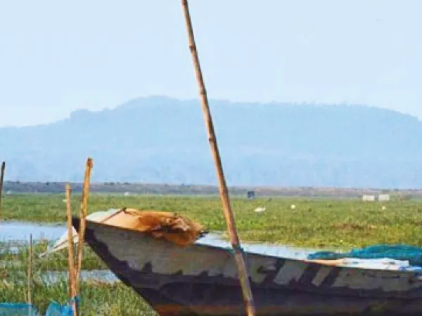 পাখপাখালির হট্টমেলায়&nbsp;মংলাজোরি