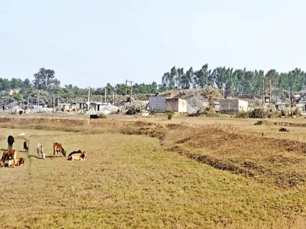 লোকালয়েই মজুত ডিটোনেটর, অবৈধ খাদানের বিস্ফোরণে কেঁপে উঠছে কেশিয়া, কাশকুলি!