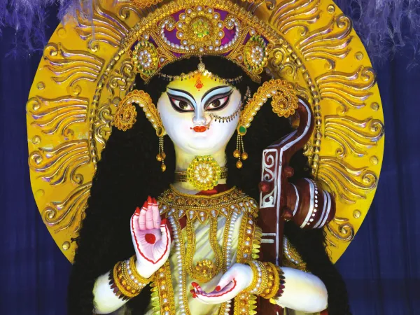 মণ্ডপ থেকে পার্ক, সরস্বতী পুজোয় জমজমাট ভিড়