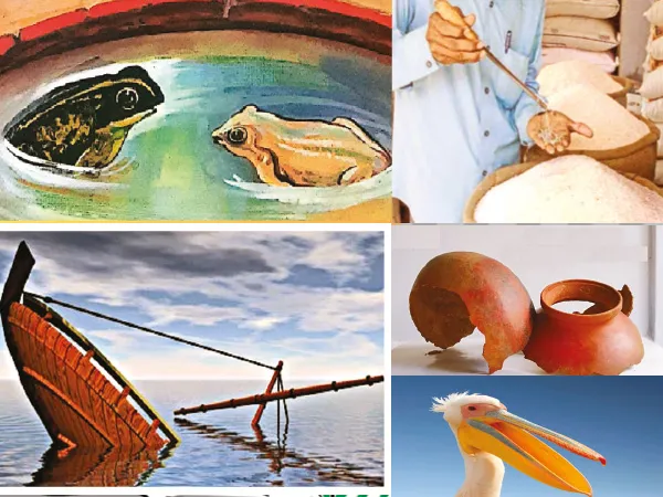 বাগধারার রহস্য