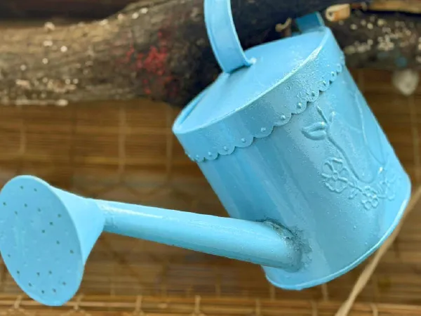 রঙিন ঝাঁঝরি