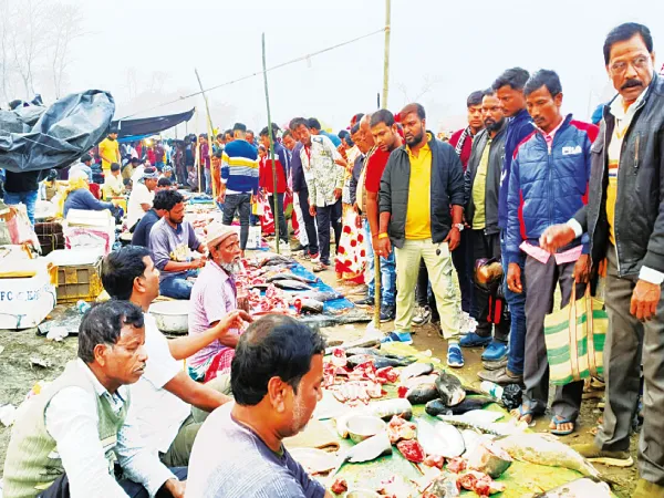 &lsquo;পুণ্যলাভের&rsquo; আশায় শতাব্দী প্রাচীন দলুয়া মেলায় ভিড়, স্নান সেরে মাছ কিনে বাড়ি ফিরলেন পুণ্যার্থীরা
&nbsp;