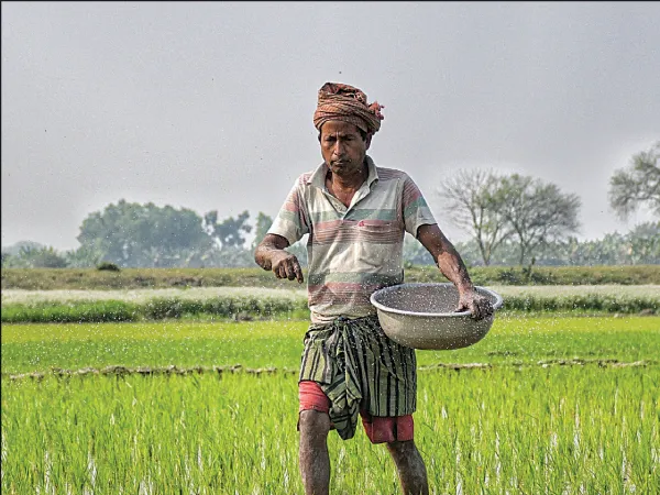 বিল ছাড়াই ইউরিয়া বিক্রি বহুগুণ দামে