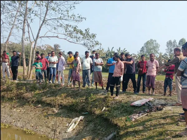 পুকুরে ভাসছিল বস্তা, খুলতেই বেরিয়ে এল হাড়গোড়, চাঞ্চল্য দিনহাটার গ্রামে