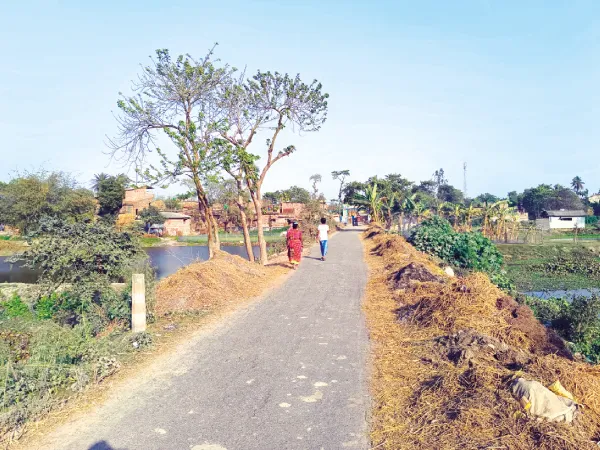 আবর্জনা সংগ্রহের গাড়ি অনিয়মিত, ক্ষোভ&nbsp;