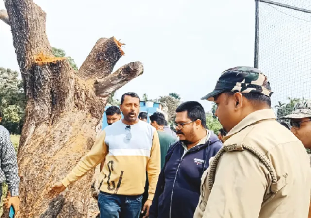 বিদ্যুতের বকেয়া বিল মেটাতে স্কুলের ১৪টা গাছ কেটে বিক্রি