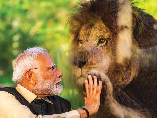 জামনগরে বন্যপ্রাণ উদ্ধার ও পুনর্বাসন কেন্দ্রের উদ্বোধন প্রধানমন্ত্রী মোদির